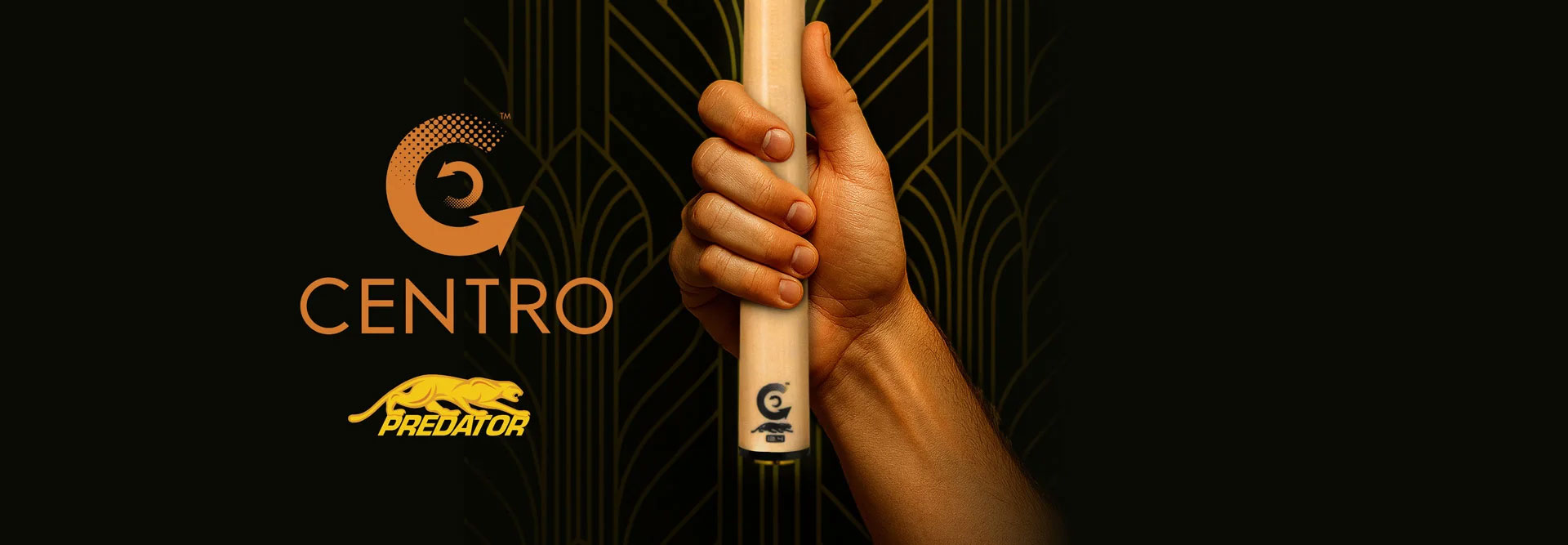 banner Centro Queue cue shaft predator